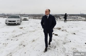 Челябинск Дубровский ФАС дело суд иск