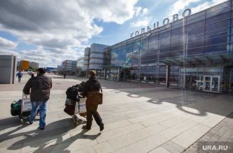Свердловская область карантин запреты разрешение