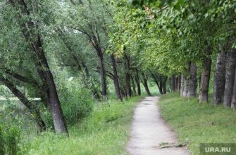 погода в Курганской области