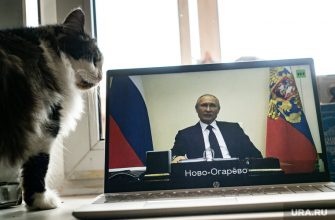 многодетные семья отец ранний выход пенсия Путин