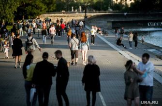 Раскрыт план восстановления экономики и доходов россиян