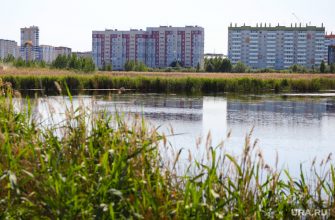 Благоустройство Кургана