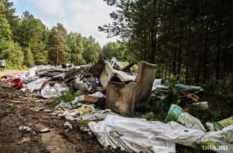 свалки мусора ЯНАО лесные массивы