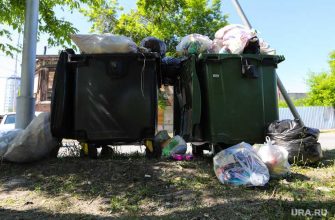 Спецавтобаза мусор вывоз подрядчик подробности
