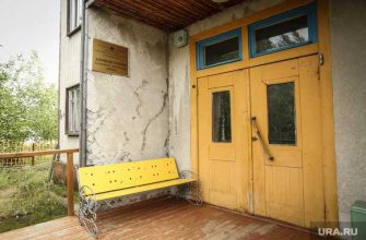 участие праймериз Единая Россия ЛДПР