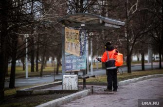 жителям регионов пришлось убирать Москву