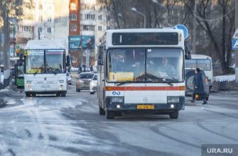 пороховой завод долг