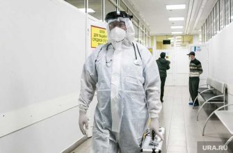 коронавирус ковид Россия заболеваемость когда снизится условие иммунитет