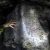 Детская тургруппа пропала в пещере в Подмосковье