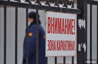 Челябинская область коронавирус статистика