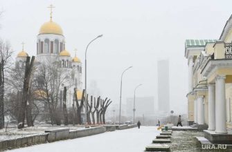 погода в январе