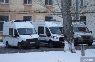 самоизоляция в Курганской области