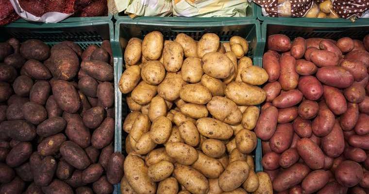 цена картофель магазин рост
