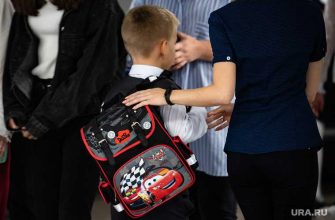 Егэ комков рособрнадзор садовничий смолин совет минпросвещения