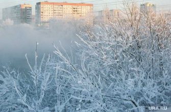 морозы в Тюменской области