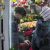 В Тюмени начался большой передел нелегального рынка цветов