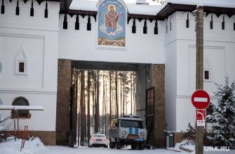 сторонники Сергия Романова