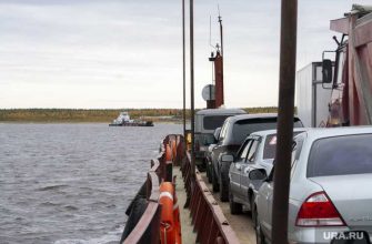 Дмитрий Погорелый главный юрист ЯНАО