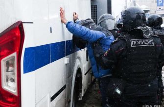 Навальный колония задержания ик 2 покров анастасия васильева мэтью ченс