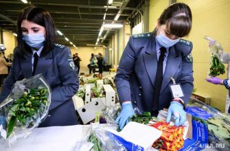 подкарантинная продукция