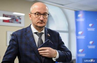Цепкин Павлова сенаторы Челябинская область доходы