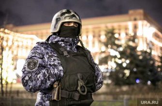 госизмена