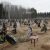 В Перми закрывается крупнейшее кладбище