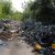 Курганским чиновникам разрешили штрафовать жителей за мусор