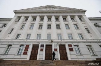 директор департамента