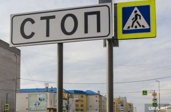 вандалы Курганская область