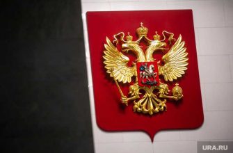 выборы в Госдуму РФ