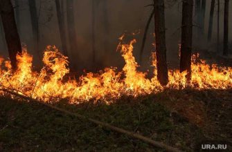 Екатеринбург пожар