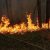 Лесные пожары под Екатеринбургом подобрались вплотную к поселку. Видео