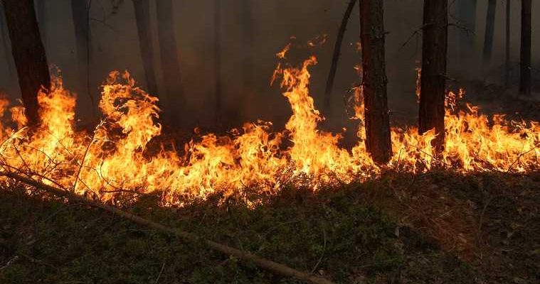 Екатеринбург пожар