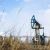 Greenpeace: добыча нефти в ЯНАО угрожает популяции стерхов