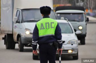 курганская область