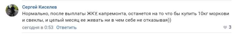 Соцсети возмутились росту прожиточного минимума на 300 рублей. «Жевать морковь и свеклу весь месяц»