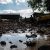 В Свердловской области 300 детей эвакуируют из зоны потопа