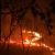 В Челябинской области эвакуируют поселок из-за лесного пожара. Фото