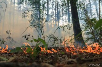В Челябинской области остановлены пожары бушевавшие три дня