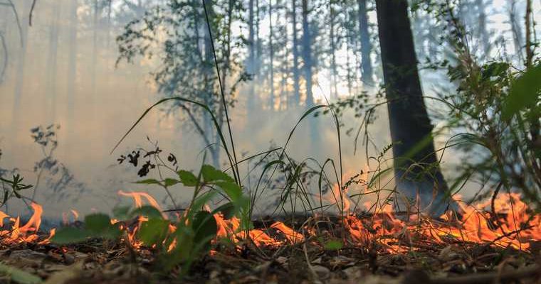 В Челябинской области остановлены пожары бушевавшие три дня