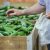 Росстат заявил о снижении цен на овощи